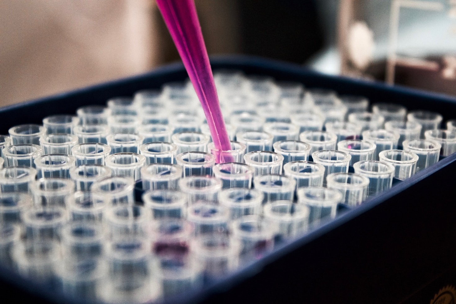 Top Innovations in Cell-Based Healthcare