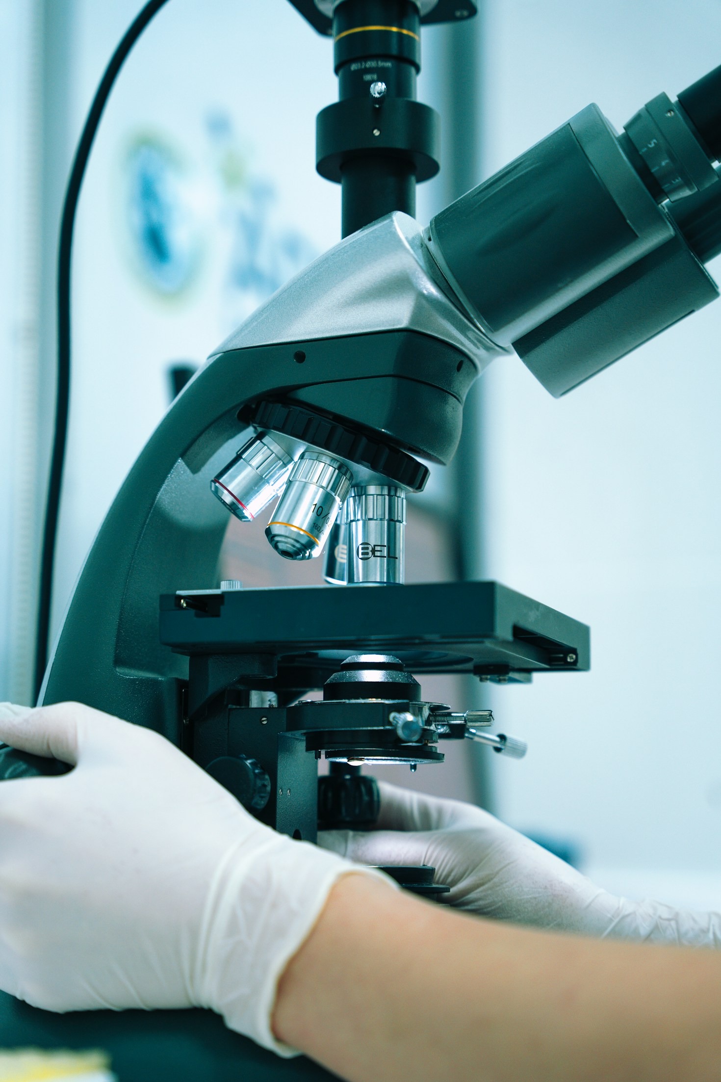 The Role of Cellular Applications in Modern Medicine